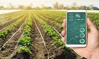 اجرای ۱۱۰ طرح آبیاری هوشمند در کشور/ پنل‌های خورشیدی در مزارع مستقر می‌شود
